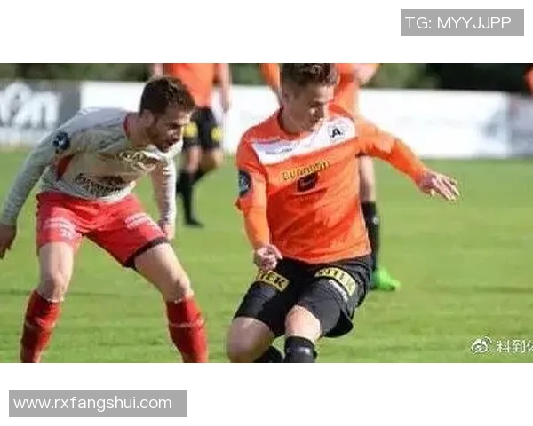 挪甲谢夫与阿萨纳的较量为何最终以腰斩告终的深度解析